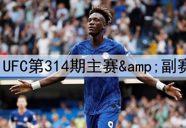 2025年4月13日 UFC第314期主赛&副赛 全场录像回放